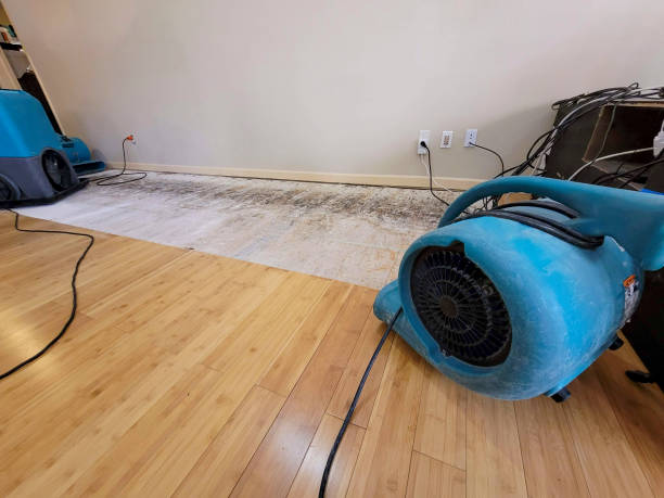 Reliable Basement Flood Cleanup contractor in Ripon, WI by Hirex Water Damage