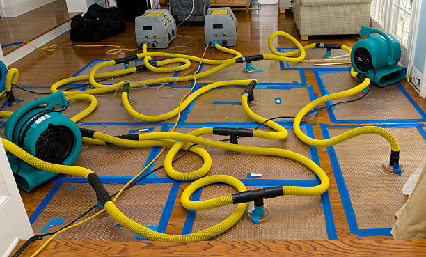 Professional Basement Flood Cleanup technician working in Ripon, WI